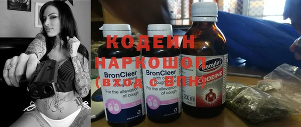 прущие грибы Аркадак