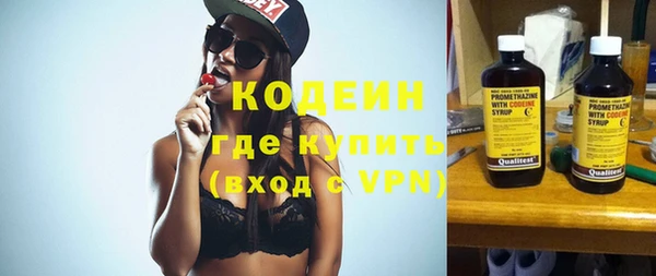 прущие грибы Аркадак