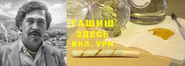 прущие грибы Аркадак