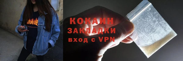 прущие грибы Аркадак