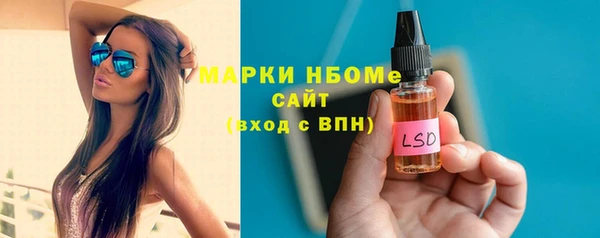 прущие грибы Аркадак