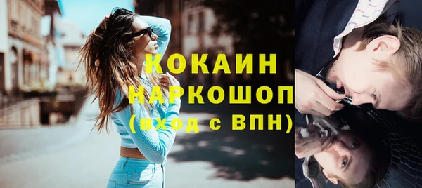 прущие грибы Аркадак