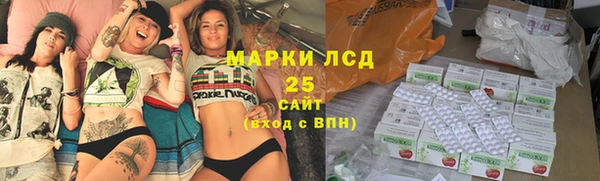 прущие грибы Аркадак