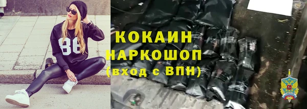 прущие грибы Аркадак