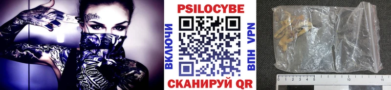 где можно купить наркотик  Олёкминск  Псилоцибиновые грибы мухоморы 
